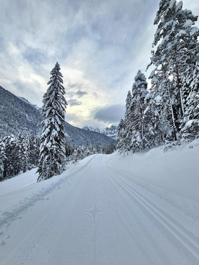 Chalet Camporosso Camporosso  Экстерьер фото